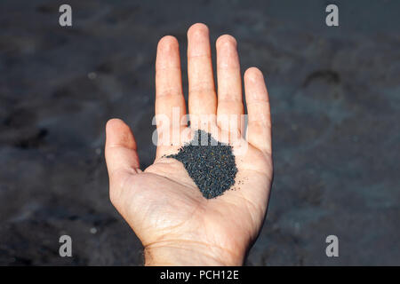 Man mano che tiene la sabbia nera sulla sabbia nera vulcanica beach Foto Stock