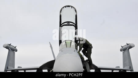 OCEAN (11 maggio 2013) Il pilota si arrampica in un EA-18G Growler dal Cougars di Attacco Elettronico Squadron (VAQ) 139 sul ponte di volo della portaerei USS Carl Vinson (CVN 70). Carl Vinson e Carrier aria Wing (CVW) 17 sono in corso al largo della costa della California del Sud conducendo operazioni di volo. Foto Stock