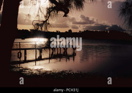 Coomba Park, Lago di Wallis, Myall Lakes National Park, New South Wales, Australia. Ragazzo seduto da solo alla fine della fase di atterraggio, retroilluminato e stagliano al tramonto. Foto Stock