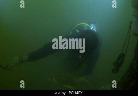 Stati Uniti Quinta Flotta AREA DI RESPONSABILITÀ (ott. 23, 2012) Navy Diver 2a classe Matteo Cortez, assegnato a Mobile Diving e unità di soccorso (MDSU) 1, Società 1-5, colloca la valutazione e identificazione di una miniera suscettibilità sistema durante le operazioni di immersione. MDSU 1 è assegnato al comandante del gruppo di attività (CTG) 56.1 e fornisce la mia contromisura, l'eliminazione degli ordigni esplosivi, recupero immersioni subacquee, la lotta contro il terrorismo e la forza di protezione per gli Stati Uniti Quinta Flotta area di responsabilità Foto Stock