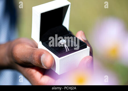 African uomo con anello di fidanzamento nella casella Foto Stock