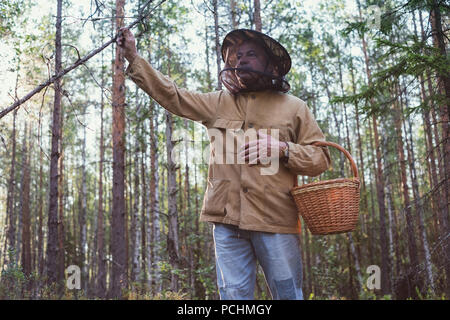 Uomo maturo picking camminare con il cestello nella foresta. Egli si sta guardando attorno godendo l'aria fresca del legno. Foto Stock