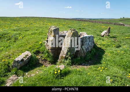 Cinque pozzi chambered cairn, Taddington, Derbyshire, in Inghilterra. I resti di una tomba megalitica pensato per essere il più alto esempio del suo genere in Gran Bretagna. Foto Stock