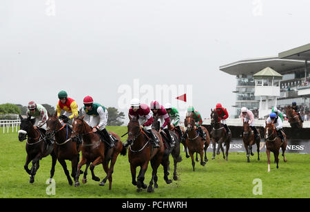 Guide e piloti in azione durante il Guinness dei principianti siepi il giorno 4 del Galway Summer Festival a Galway Racecourse. Stampa foto di associazione. Picture Data: giovedì 2 agosto 2018. Vedere la storia di PA RACING Galway. Foto di credito dovrebbe leggere: Brian Lawless/PA FILO Foto Stock