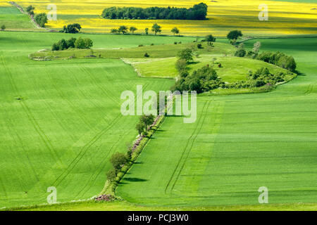 Seminativi con alberi in corrispondenza dei campi Foto Stock