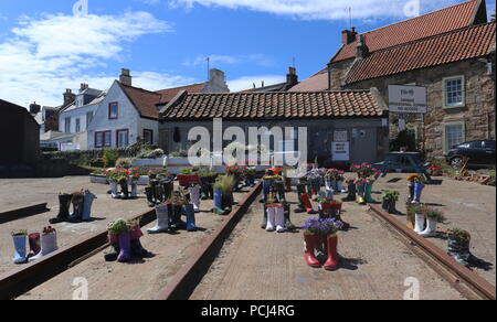 Avvio Wellie giardino St Monans Fife Scozia Luglio 2018 Foto Stock