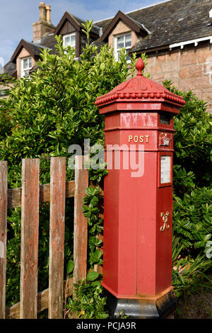 Red Royal Mail casella postale con evergreen Hebe bush a Baile Mor villaggio sull isola di Iona Ebridi Interne in Scozia UK Foto Stock