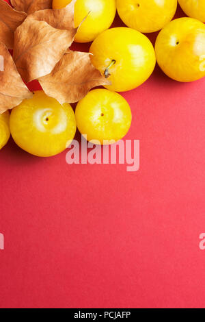 Mature succosa colorato in giallo le prugne a secco con foglie di colore arancione su scuro rosso cremisi lo sfondo di borgogna. Piatto disposizione laici composizione. Caduta di ringraziamento m Foto Stock