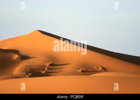 Arancione liscia perfetta sulle dune del deserto del Sahara. Il Marocco Foto Stock