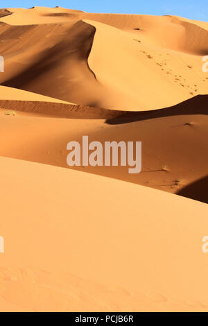 Dune arancione con cielo blu sul deserto del Sahara. Il Marocco. Sfondo verticale. Foto Stock