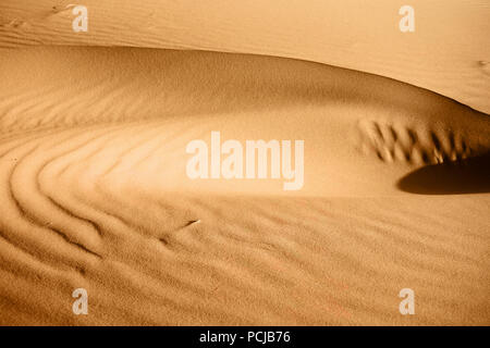 Forma di vortice, trame e disegni sulla orange ondulazione superficie di sabbia del deserto del Sahara. Foto Stock