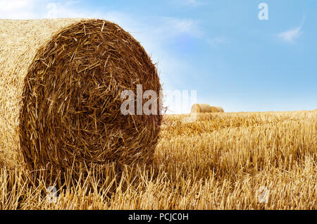 Golden le balle di paglia fotografato in tarda estate. Il paesaggio agricolo contro il luminoso cielo blu con wispy nuvola bianca. Foto Stock