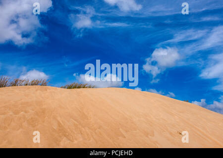 Duna Da Cresmina, dune di sabbia, Cascais, Lisbona, Portogallo, parte dell'Guincho-Cresmina sistema di dune.
