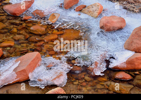 Formazioni di ghiaccio lungo il fiume di pino, Parco Nazionale Zion, Utah, Stati Uniti d'America Foto Stock
