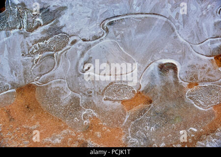 Formazioni di ghiaccio lungo il fiume di pino, Parco Nazionale Zion, Utah, Stati Uniti d'America Foto Stock