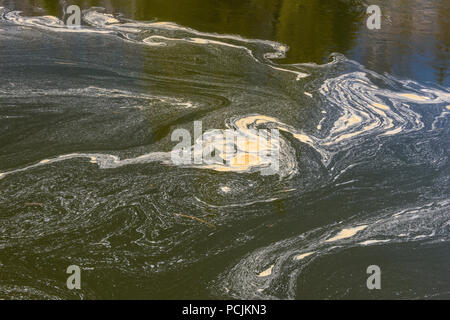 Junction Creek in primavera con volute di schiuma e floating polline, maggiore Sudbury, Ontario, Canada Foto Stock