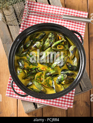 Mouclade. Le cozze in crema e salsa al curry Francia cibo Foto Stock