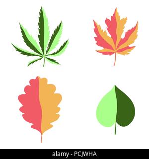 Set di vettore di foglie isolate su uno sfondo bianco. Vettore di foglie di albero set. Vettore di elementi di design. la canapa, acero, rovere Illustrazione Vettoriale