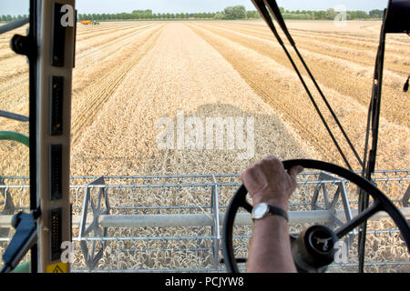 L'agricoltore azionato il computer della sua mietitrebbia durante la mietitura del grano. Un sacco di lavoro viene preso in consegna da un computer Foto Stock