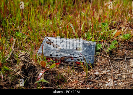 Il vecchio nastro audio in erba Foto Stock