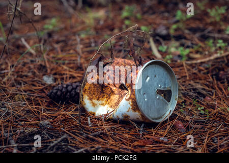Vecchio arrugginito lattina della bevanda nella foresta Foto Stock