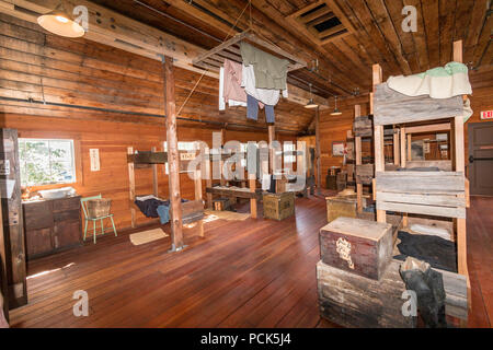 Gli uomini cinesi's Bunkhouse al Britannia cantieri Sito Storico di Steveston, BC, Canada. Ci sono stati spesso 100 uomini in un edificio di quasi 100 x 50 piedi. Ci sono stati di gran lunga più cuccette a quanto mostrato qui. Foto Stock