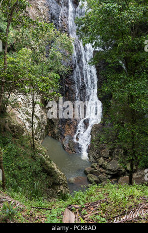 La cascata e stagno in un australiano foresta pluviale subtropicale Foto Stock