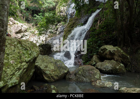 La cascata e stagno in un australiano foresta pluviale subtropicale Foto Stock