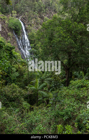 Cascata immergendosi nella savana Australiana Foto Stock