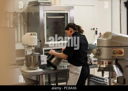 Lo Chef lavorando in cucina Foto Stock