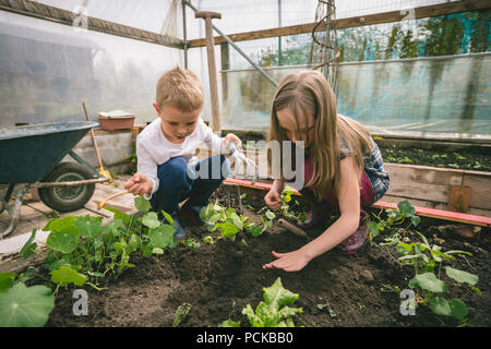 Bambini giardinaggio in serra Foto Stock