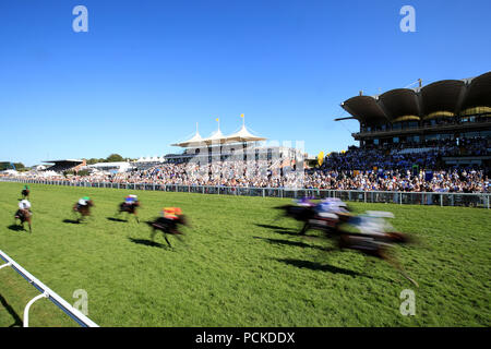 Guide e piloti in azione nel Markel Insurance British EBF Maiden Fillies' picchetti durante il giorno tre del Qatar Goodwood Festival di Goodwood Racecourse, Chichester. Foto Stock