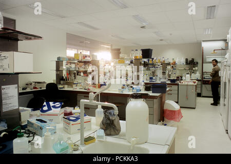 Laboratorio all'interno dell'edificio adibito alla ricerca del professor Christine Van Broeckhoven alla scienza biomedica del campus dell'Università di Anversa a Wilrijk ( Foto Stock