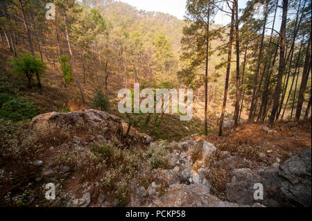 Valle dove Jim Corbett shot il Chowgarh maneating tigre, Kala Agar, Uttarakhand, India Foto Stock