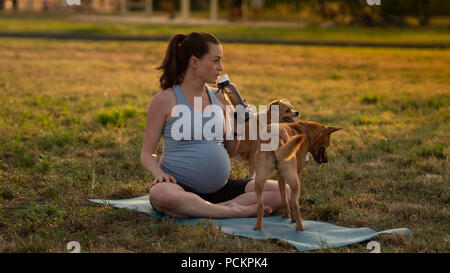 Sano giovane donna incinta con due cani rosso facendo esercizi yoga nella natura all'aperto su erba verde sul tappetino fitness al tramonto. Felice della gravidanza e della maternità concept Foto Stock