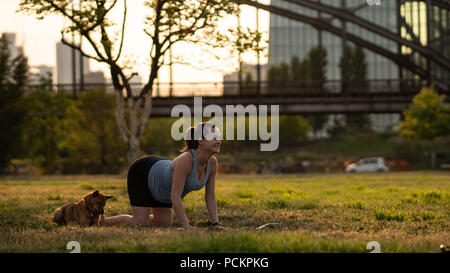 Bella sportiva montare yogini donna incinta le pratiche yoga asana bitilasana - posa di vacca gentle warm up per colonna vertebrale (chiamato anche cat-mucca posa) in un parco con un cane Foto Stock