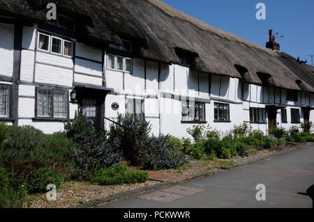 Con il tetto di paglia, Coldharbor Cottages, Tring Road, Wendover, Buckinghamshire, sono stati ancora una volta dato a Anne Boleyn come parte della sua dote da Henry VIII. Foto Stock