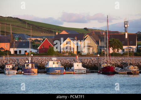 Barche da pesca in Dingle, nella contea di Kerry, Irlanda Foto Stock