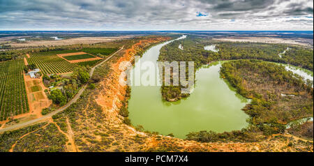 Panoramica aerea di campi agricoli e Murray River che fluisce nell'orizzonte tra alberi di gomma in Sud Australia Foto Stock