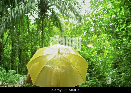 Panama City, Panama, Panama. 16 Maggio, 2009. Suscitare un coro tropicale di motmots, tucani, e fruitcrows. La camera da letto è a livello treetop, non più di 40 piedi da uccelli. Nel fresco Panamanian Alba si può sentire Panama?'s grande risveglio della foresta pluviale attorno a voi. Cotingas blu e verde Shrike-Vireos, uccelli normalmente intravisto in alto le cime degli alberi, persico proprio fuori della tettoia camera torre.su per una rampa di scale nella sala da pranzo, una tazza di caffè e panini vi attendono. Stabilirsi in un tavolo vicino alla finestra. Sopra le infinite foreste tropicali di Soberani?un parco nazionale, una nave Foto Stock