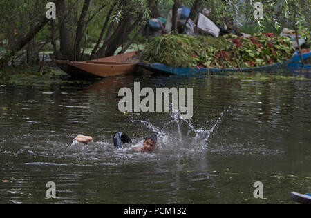 Srinagar, Indiano-controllato del Kashmir. 2 agosto, 2018. Un ragazzo nuota in dal lago a Srinagar, la capitale estiva di Indiano-Kashmir controllata, il 2 agosto 2018. Credito: Javed Dar/Xinhua/Alamy Live News Foto Stock