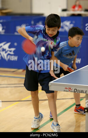 London, Ontario, Canada. Il 3° agosto 2018, tutte le 3500 atleti e 800 volontari sono stati preparati per la battaglia del 35 grado humidex il giorno 1 del 2018 Ontario giochi d'estate. Carling Centro Comunitario liccio il ping pong evento, dove i giocatori potessero giocare a vicenda in ordine di livello di specialità di rango, Luca Durda/Alamy Live news Foto Stock