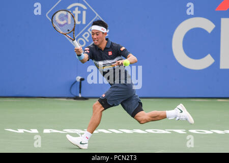 Washington, DC, Stati Uniti d'America. Il 3° agosto 2018. KEI NISHIKORI colpisce un diretti durante la sua quarta partita presso il Citi aperto al Rock Creek Park Tennis Center di Washington, DC Credito: Kyle Gustafson/ZUMA filo/Alamy Live News Foto Stock