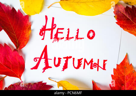 Ciao autunno calligraphy nota con foglie cadute su carta bianca Foto Stock