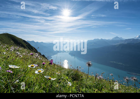 Escursioni sul crinale Hardergrat trail, Interlaken, Svizzera, Europa Foto Stock