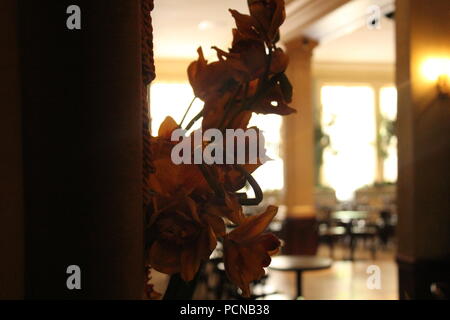 Fiori all'interno di un bellissimo cliftons cafe Foto Stock