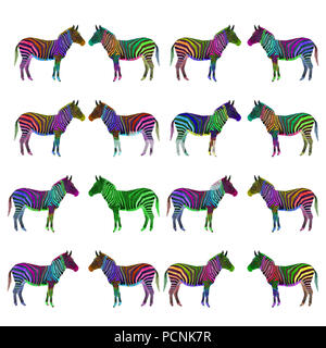 Migliorate digitalmente immagine di un6 multi colore pianure dipinte zebre su sfondo bianco Foto Stock