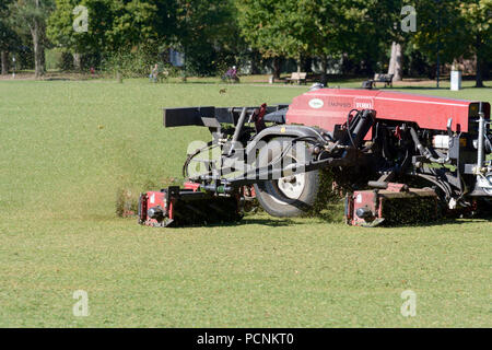 Il trattore il taglio di erba nel parco che è stato girato brown per la mancanza di pioggia Foto Stock