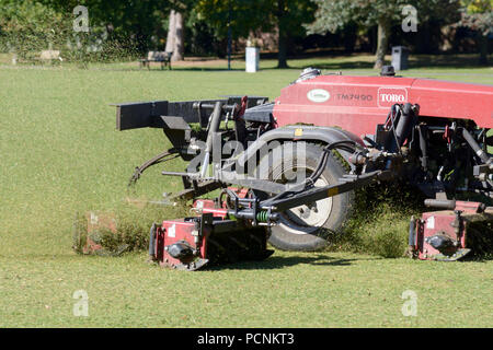 Il trattore il taglio di erba nel parco che è stato girato brown per la mancanza di pioggia Foto Stock