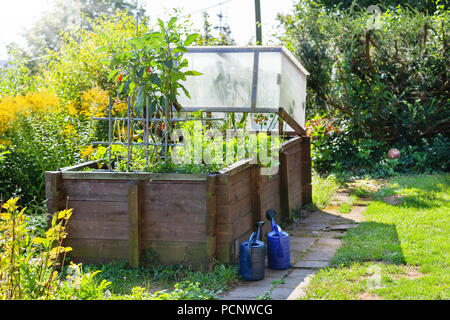 Letto sollevata nell'estate,coltura mista in giardino Foto Stock